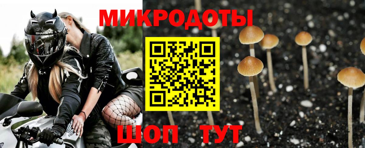 Псилоцибиновые грибы Psilocybe Сергиев Посад