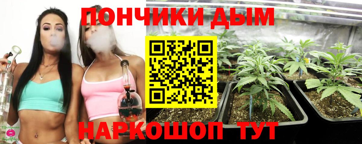 Бошки марихуана OG Kush  МАРИХУАНА индика  Шишки марихуана Amnesia  Вход с VPN  Сергиев Посад  Бошки марихуана OG Kush 